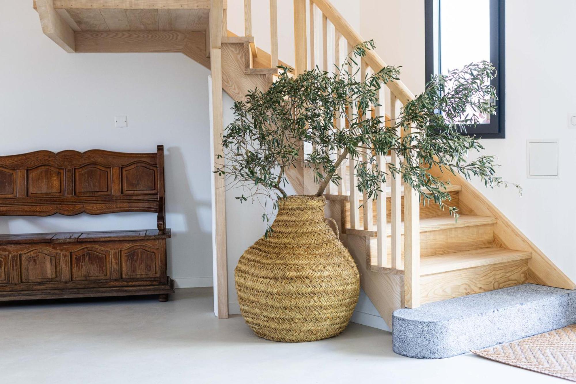 Biarritz Surf Lodge Chambre D'Hotes ภายนอก รูปภาพ
